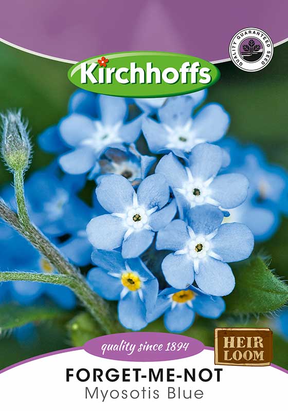 Forget Me Not Myosotis Blue - Kirchhoffs
