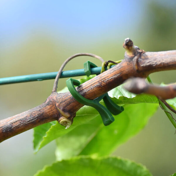 Plant clips - Image 3