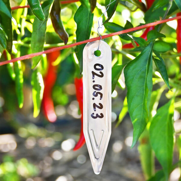 Aluminum Labels with wire ties - Image 3