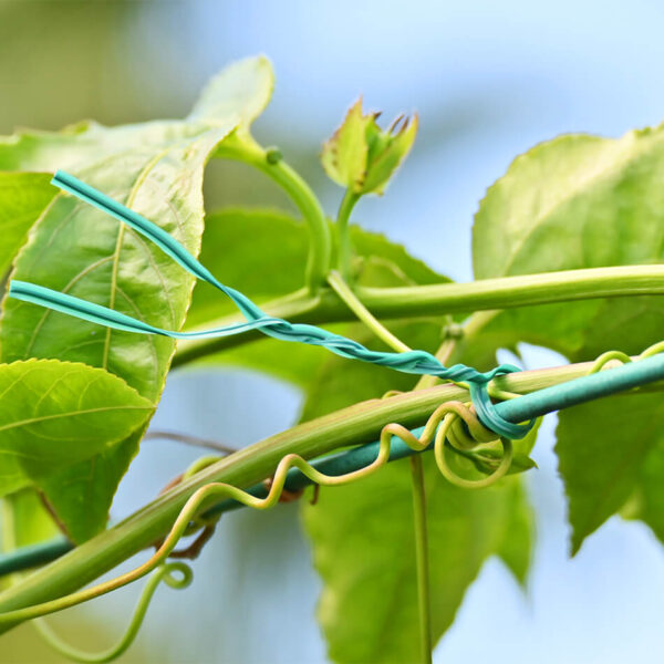 Pre cut twist ties (200mm) - Image 2