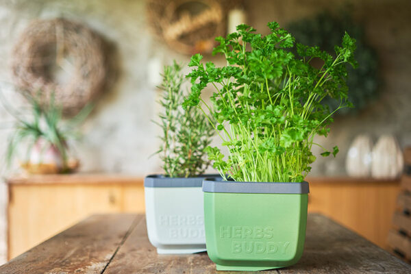 Herbs Buddy - Image 9