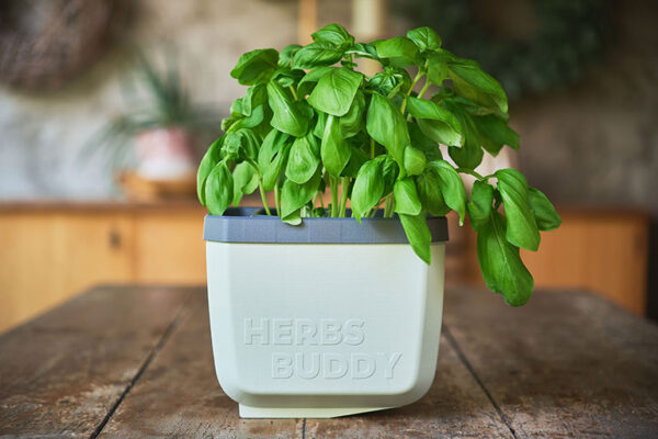 Herbs Buddy - Image 13