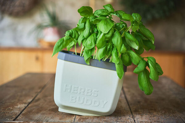 Herbs Buddy - Image 14